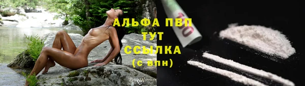 спиды Абаза