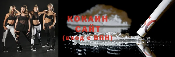 дживик Абинск