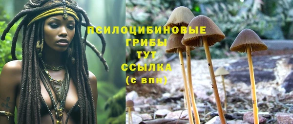 спиды Абдулино