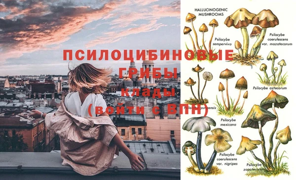 спиды Абаза