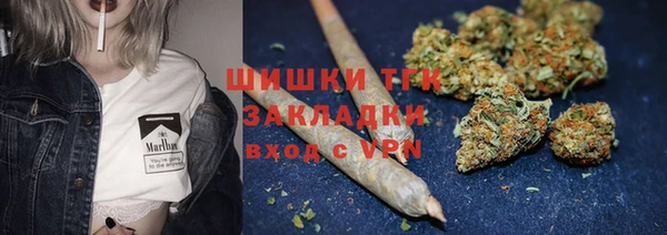 дживик Абинск